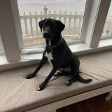 Gus